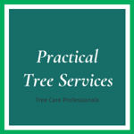 Practical Tree Services Logo