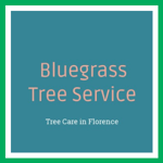 Bluegrass Tree Service Logo