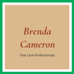 Brenda Cameron Logo