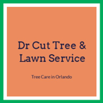 Dr Cut Tree &amp; Lawn Service Logo
