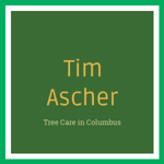 Tim Ascher Logo