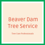 Beaver Dam Tree Service Logo