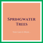 Springwater Trees Logo