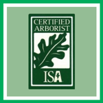Ascent Tree And Yard Care Llc Logo