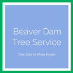 Beaver Dam Tree Service Logo