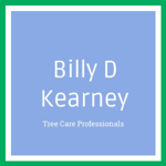 Billy D Kearney Logo
