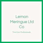 Lemon Meringue Ltd Co Logo