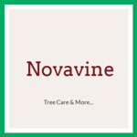 Novavine Logo