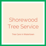 Shorewood Tree Service Logo