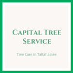Capital Tree Service Logo