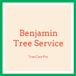 Benjamin Tree Service Logo
