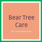 Bear Tree Care Logo