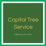 Capital Tree Service Logo
