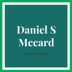 Daniel S Mccard Logo