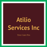 Atilio Services Inc Logo