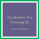 Two Brothers Tree Trimming Llc Logo