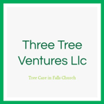 Three Tree Ventures Llc Logo