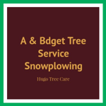 A &amp; Bdget Tree Service Snowplowing Logo
