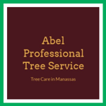 Abel Professional Tree Service Logo