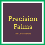Precision Palms Logo