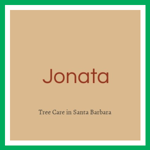 Jonata Logo