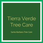 Tierra Verde Tree Care Logo