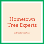 Hometown Tree Experts Logo