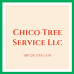 Chico Tree Service Llc Logo