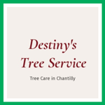 Destiny&#039;s Tree Service Logo