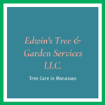 Edwin&#039;s Tree &amp; Garden Services LLC. Logo