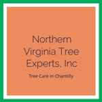 Northern Virginia Tree Experts, Inc Logo