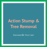 Action Stump &amp; Tree Removal Logo