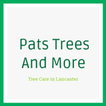 Pats Trees And More Logo