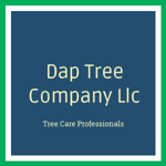 Dap Tree Company Llc Logo