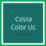 Costa Color Llc Logo