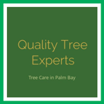 Quality Tree Experts Logo