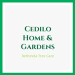 Cedilo Home &amp; Gardens Logo
