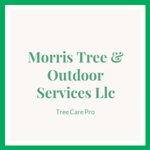 Morris Tree &amp; Outdoor Services Llc Logo