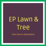 EP Lawn &amp; Tree Logo