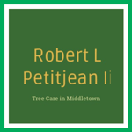 Robert L Petitjean Ii Logo