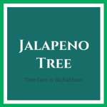 Jalapeno Tree Logo