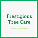 Prestigious Tree Care Logo