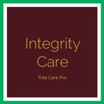 Integrity Care Logo