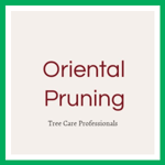 Oriental Pruning Logo