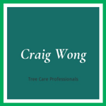 Craig Wong Logo