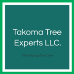 Takoma Tree Experts LLC. Logo