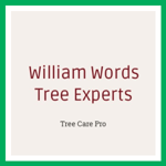 William Words Tree Experts Logo