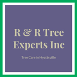 R &amp; R Tree Experts Inc Logo