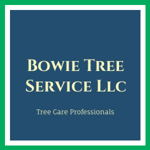 Bowie Tree Service Llc Logo