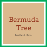 Bermuda Tree Logo